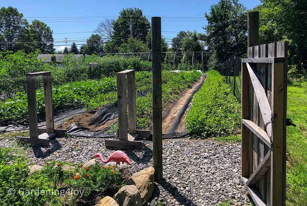 A charming small-scale market garden, Brookstone Gardens - Gardening4Joy