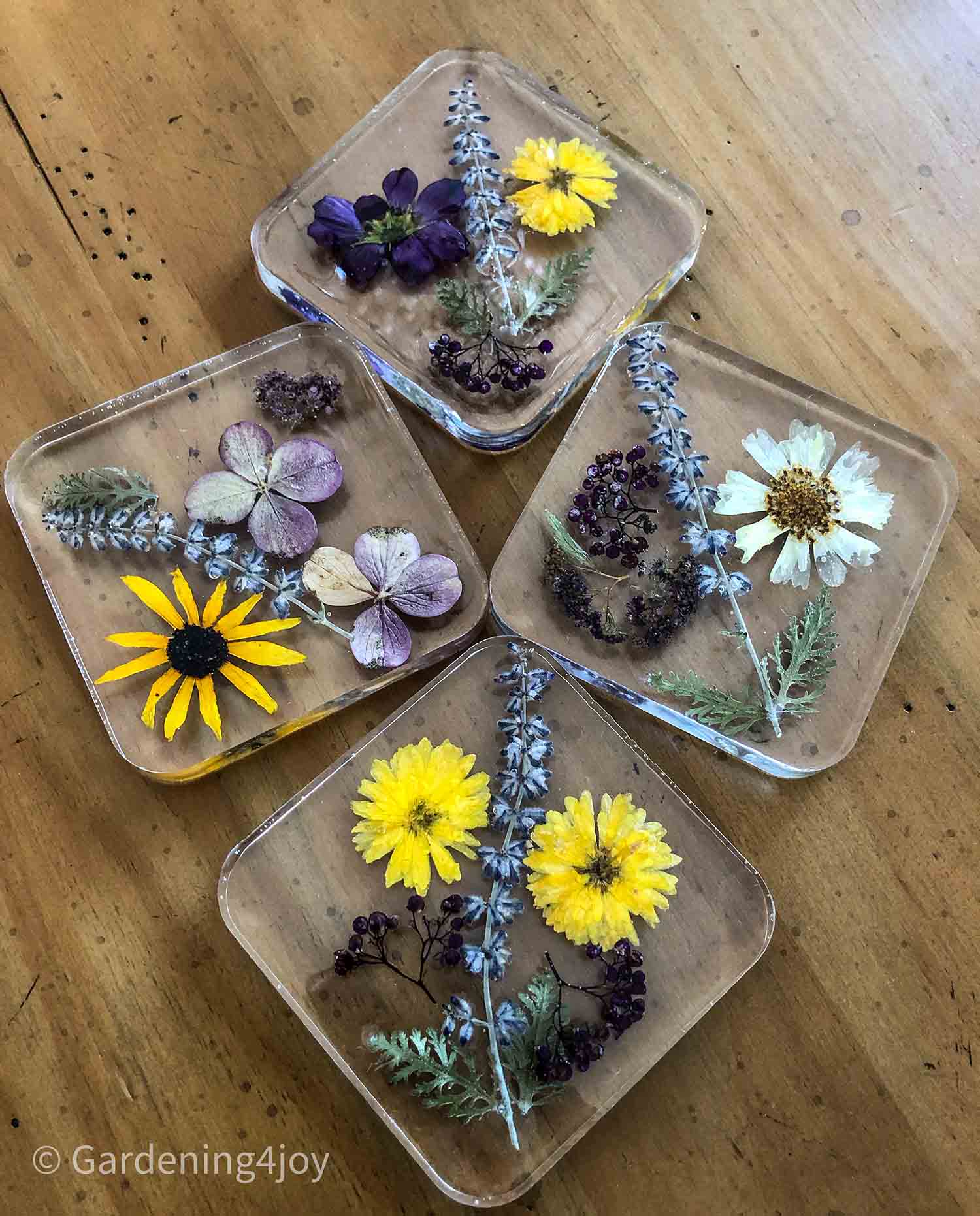 DIY resin coasters with dried pressed flowers - Gardening4Joy