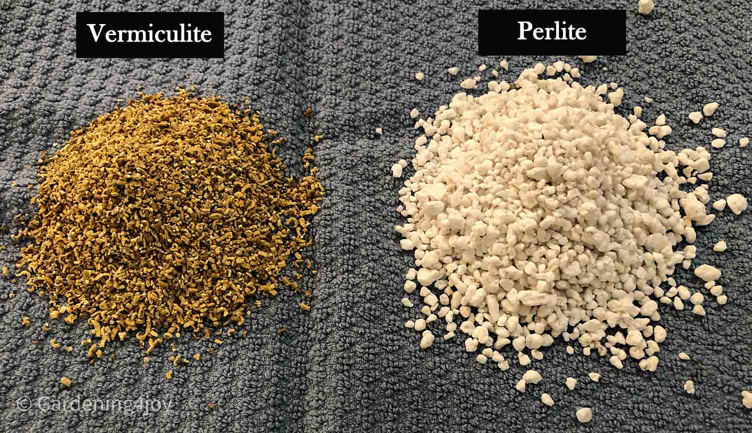 Perlite vs. Vermiculite: How and Why to Use Them – Garden Betty