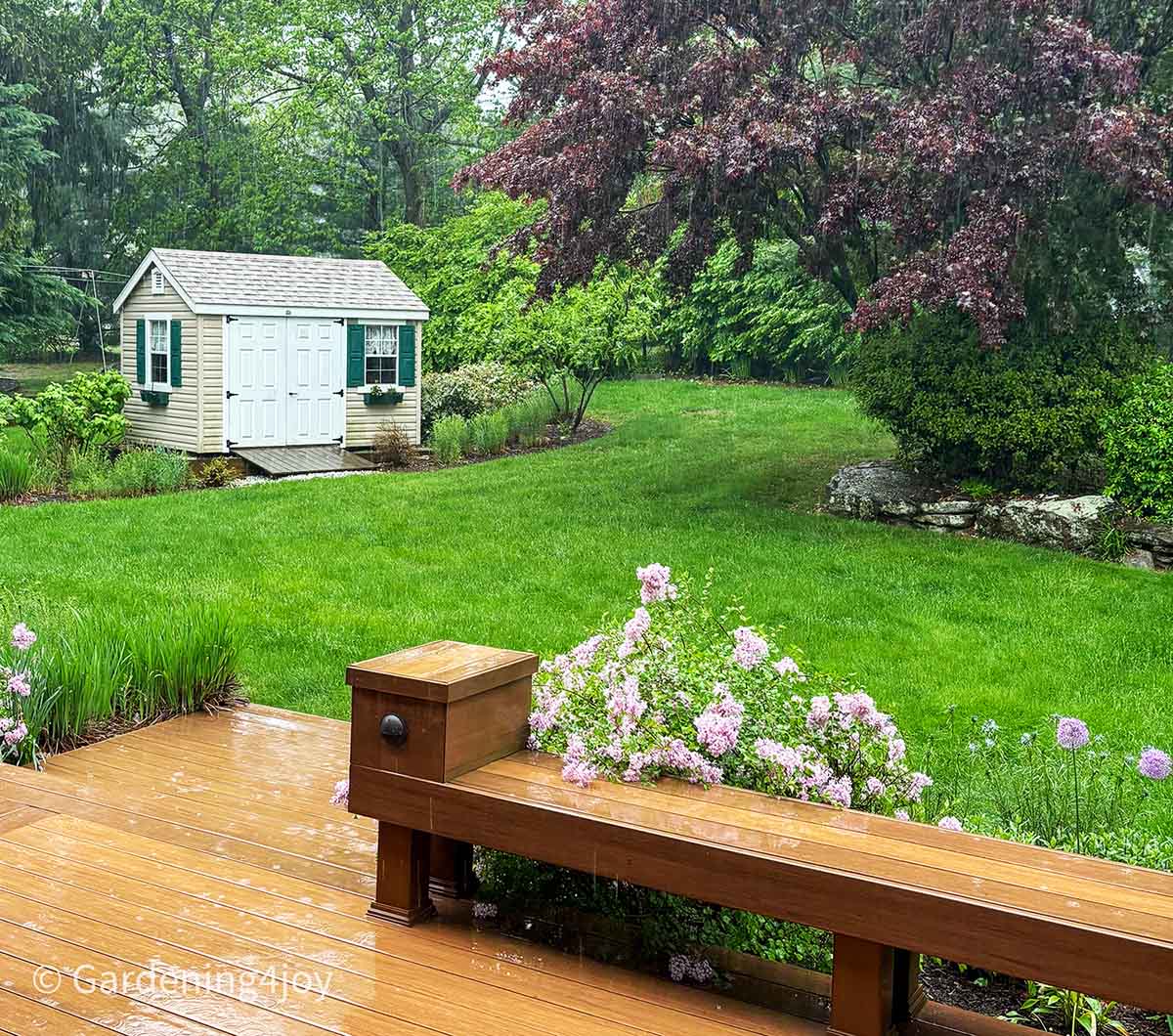 Spring in the Garden: A Guide to Success - Gardening4Joy